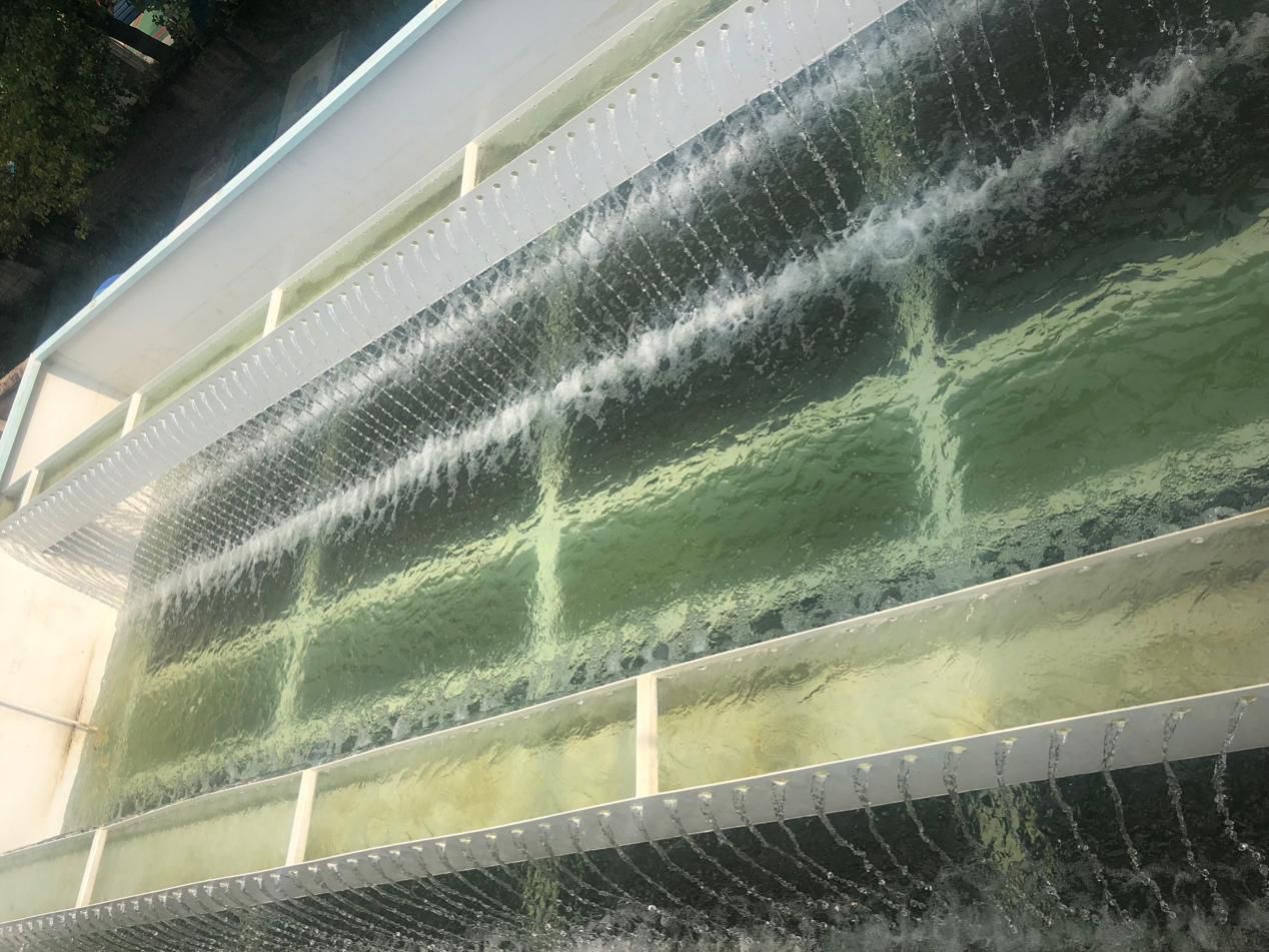 四川FMBR技术是如何助推农村污水处理的